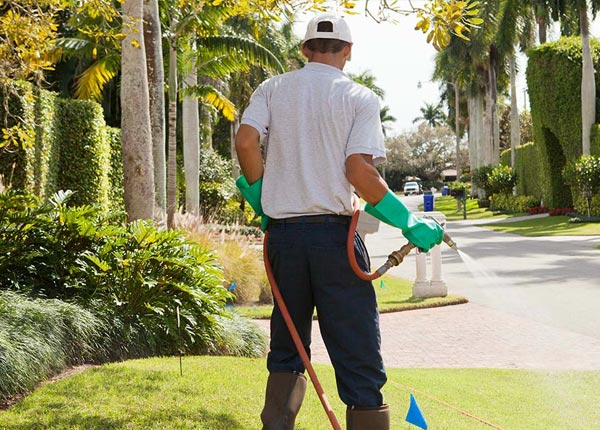 About Trail OR Pest Control Pros